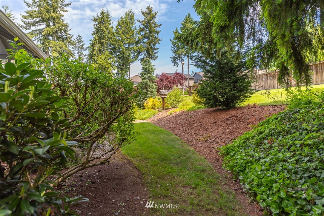5203 53rd Street West University Place, WA 98467 - Photo 28 of 35 a view of yard