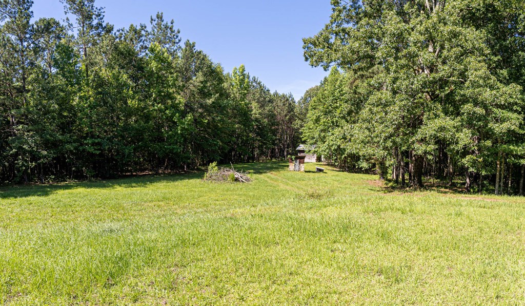 231 Lower Lovelace Road West Point, GA 31833 - Photo 45 of 49