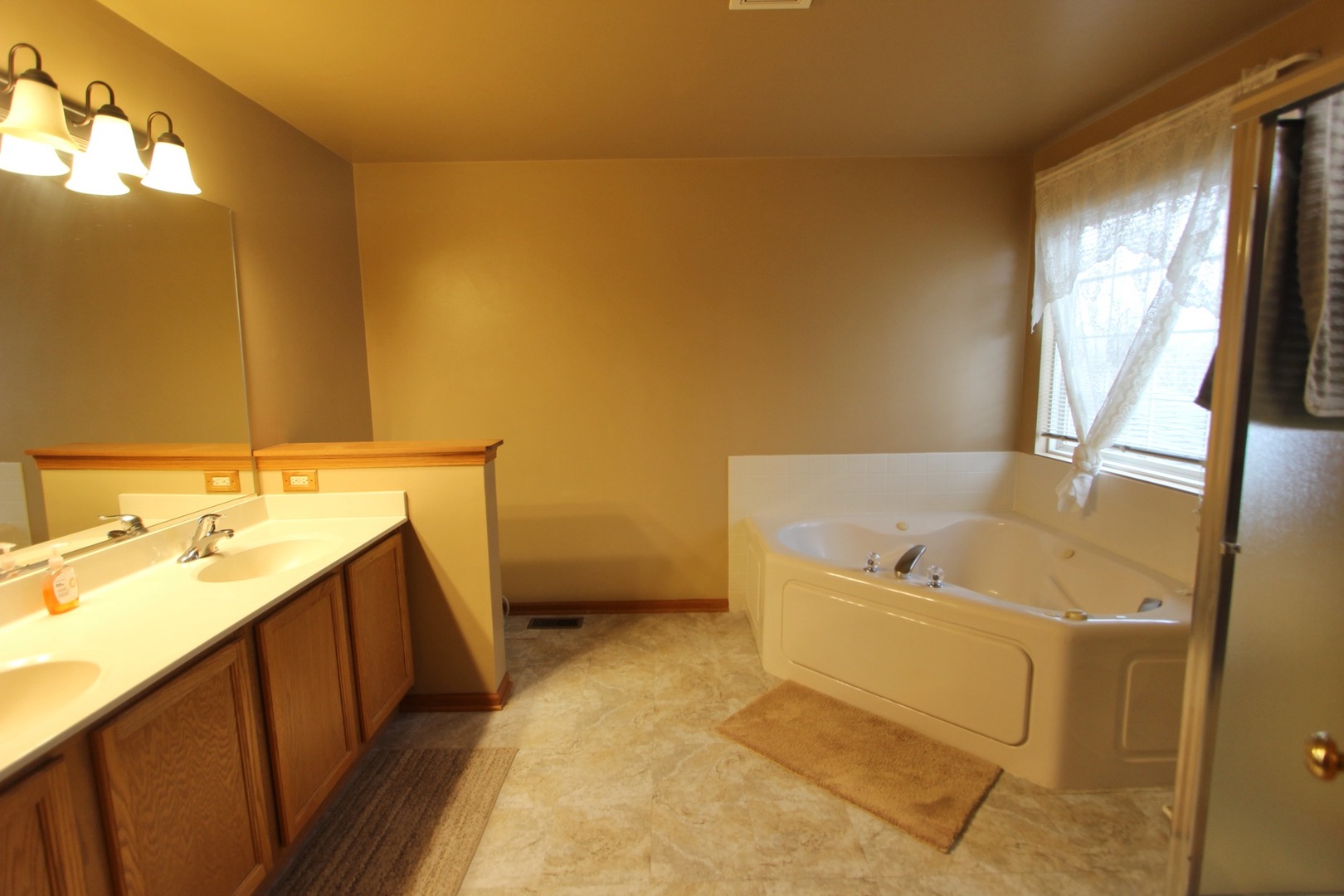 1458 Wildmeadow Road Round Lake, IL 60073 - Photo 30 of 45 a bathroom with a sink and a bathtub