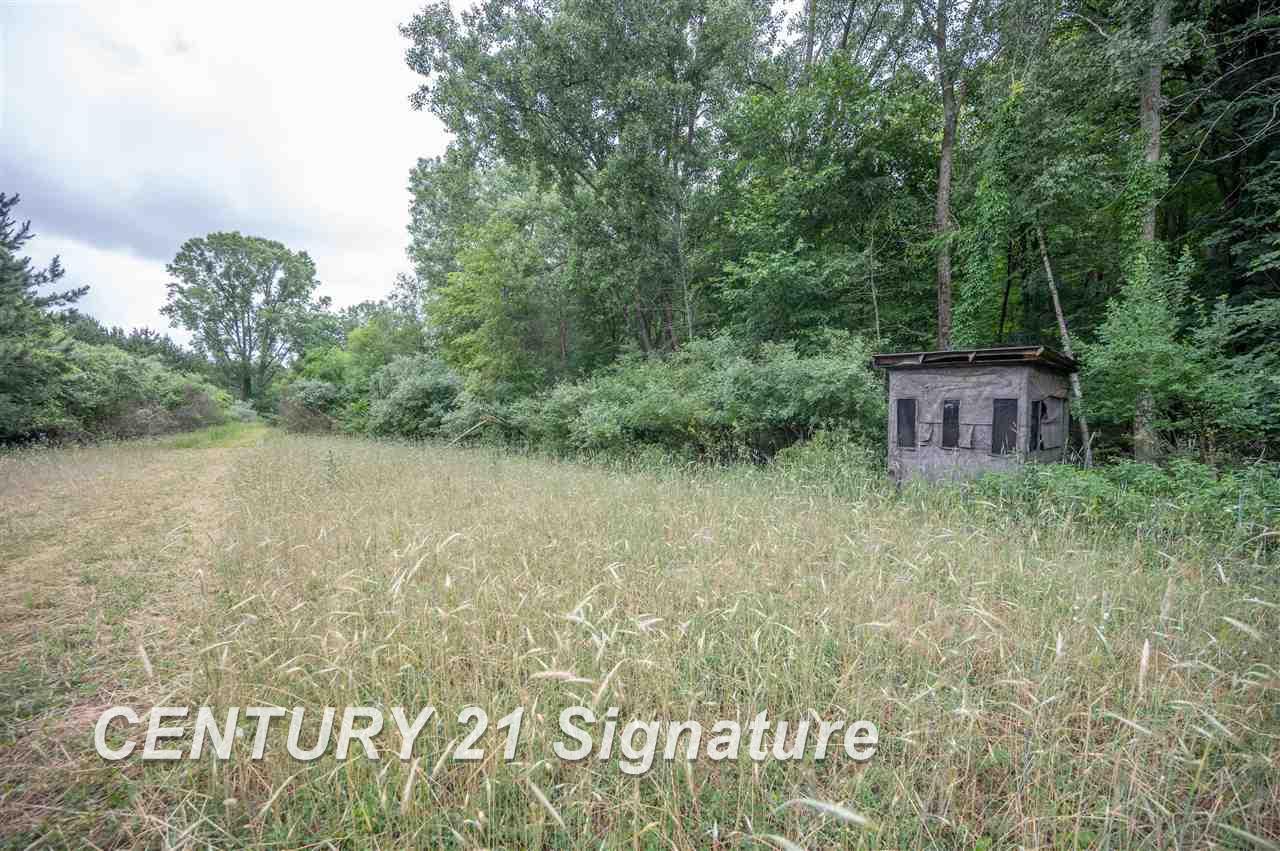 7795 South Meridian Road Bannister, MI 48807 - Photo 59 of 85