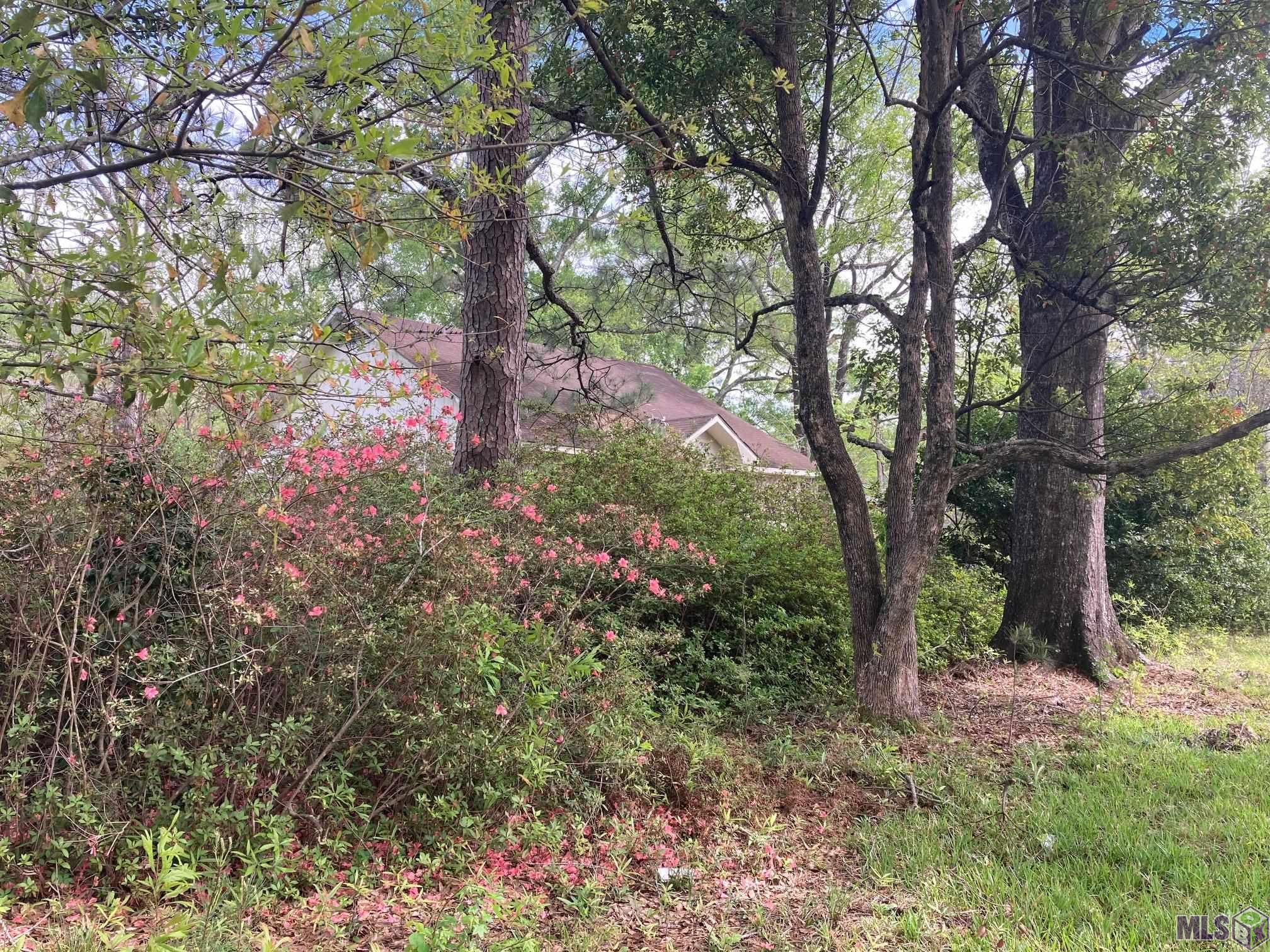 10550 Blackwater Road Baker, LA 70714 - Photo 3 of 7 Gallery Image 3