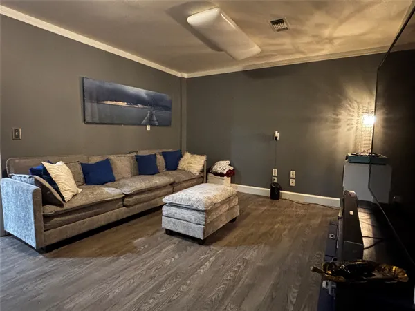 a big yard with lots of green space and plants