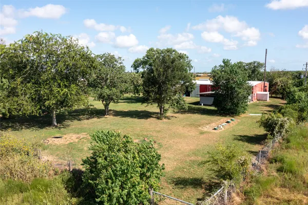 a view of a yard with large trees