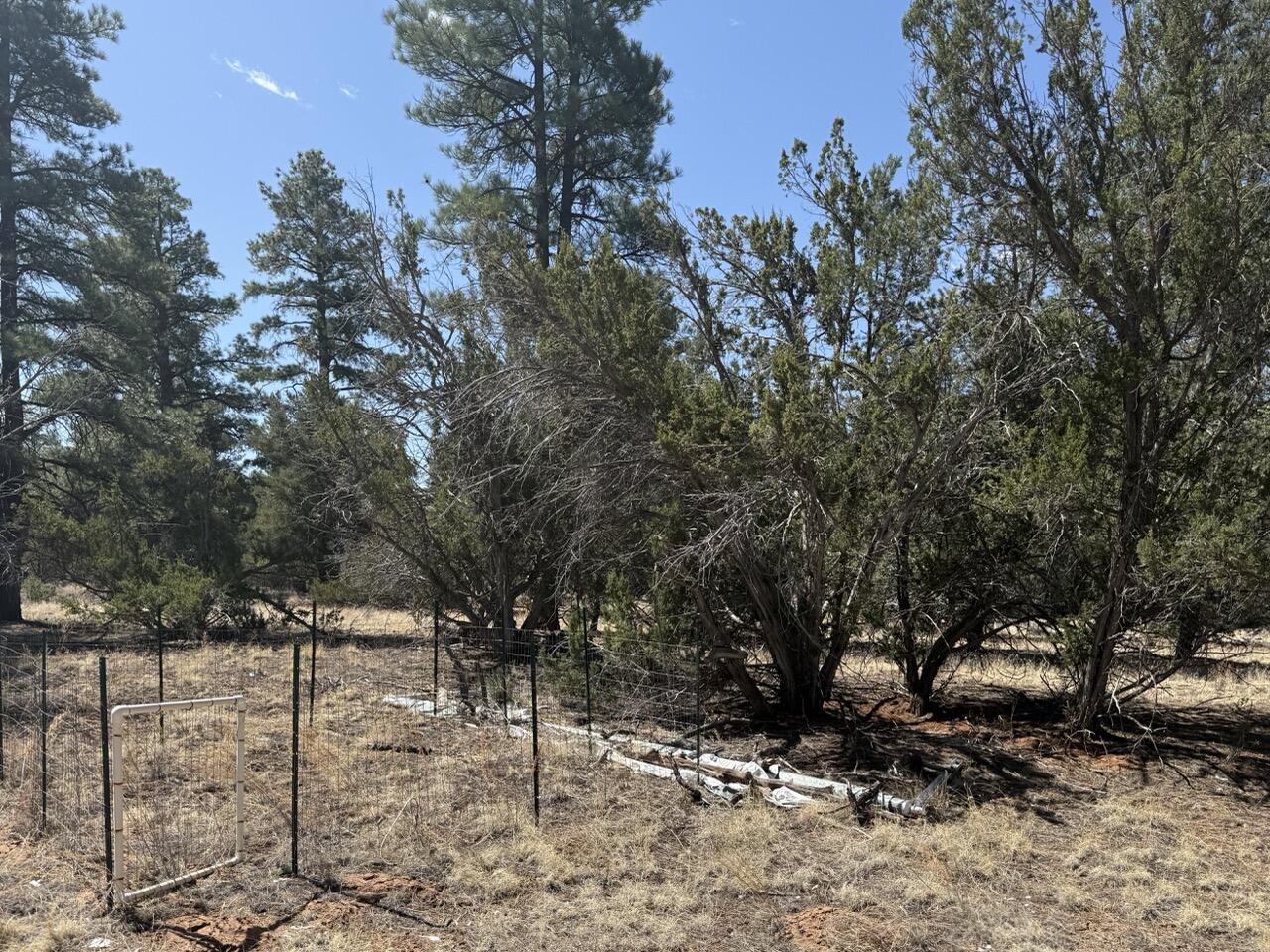 823 Timberlake Road Ramah, NM 87321 - Photo 18 of 47 Gallery Image 18