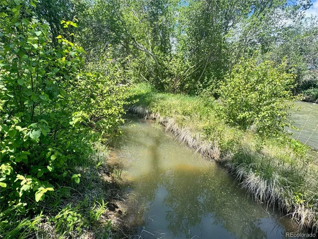 a view of a lake with a tree