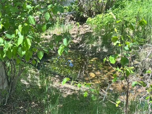 a view of a field with trees in the background