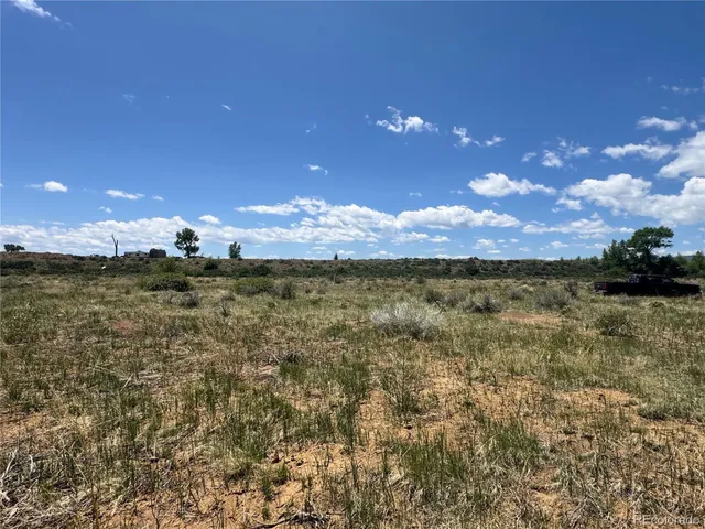 a view of a flower in a yard