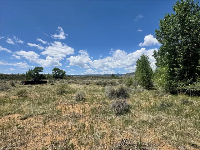 a close up of a plant in a garden