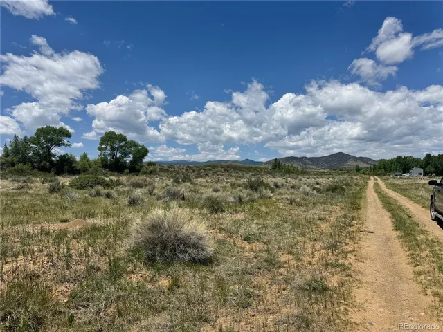 a view of a yard with plants and a tree