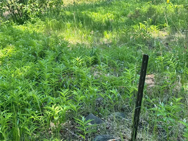 a backyard of a house with lots of green space and a fountain