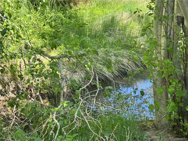 a backyard of a house with lots of plants