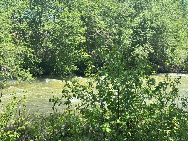 a view of a dry yard with trees