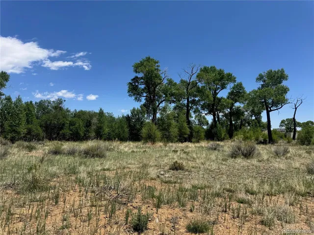 a view of a lush green space