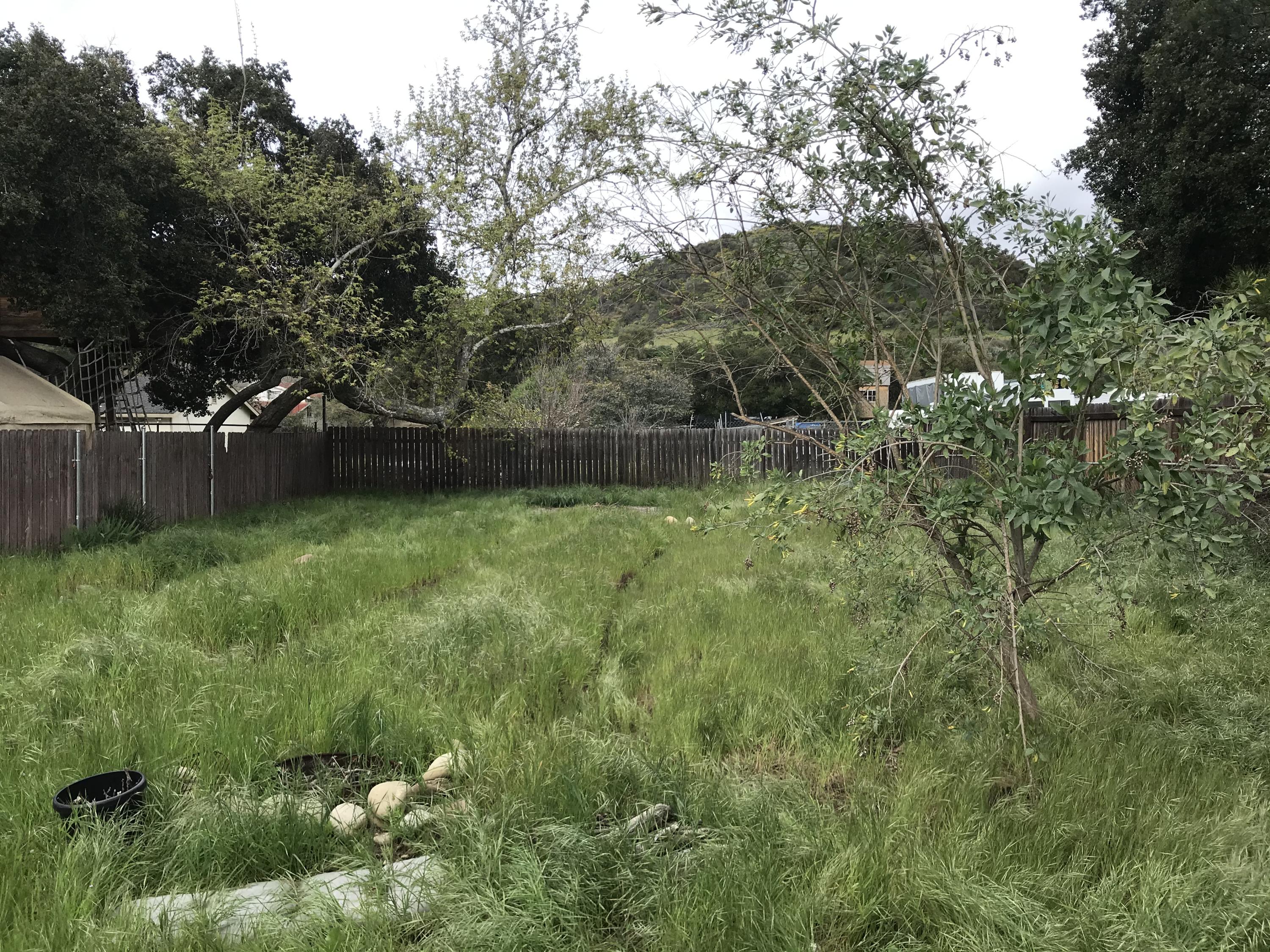 511 Burnham Road Oak View, CA 93022 - Photo 1 of 9 a backyard of a house with lots of green space