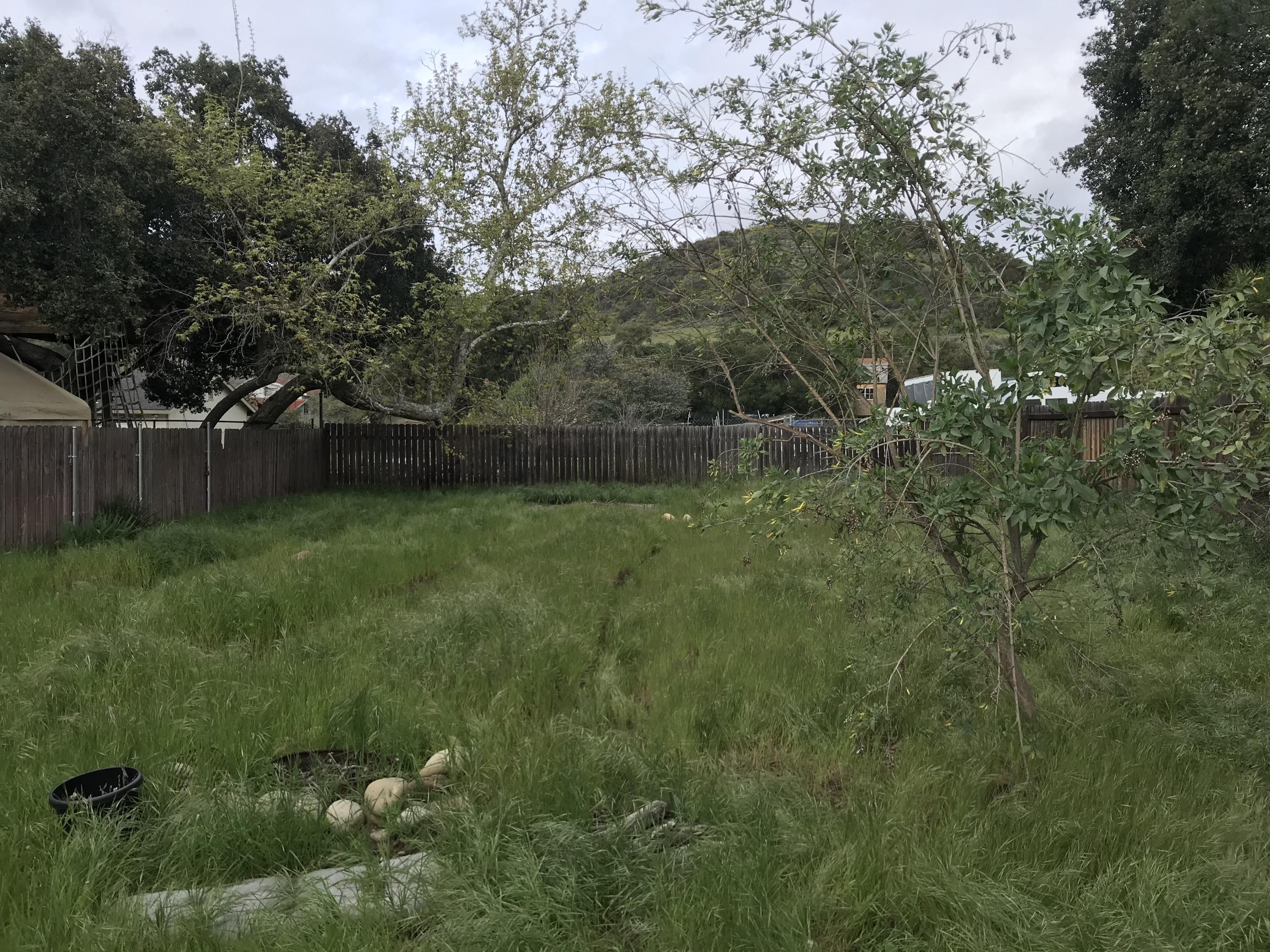 511 Burnham Road Oak View, CA 93022 - Photo 7 of 9 a view of a backyard with large trees