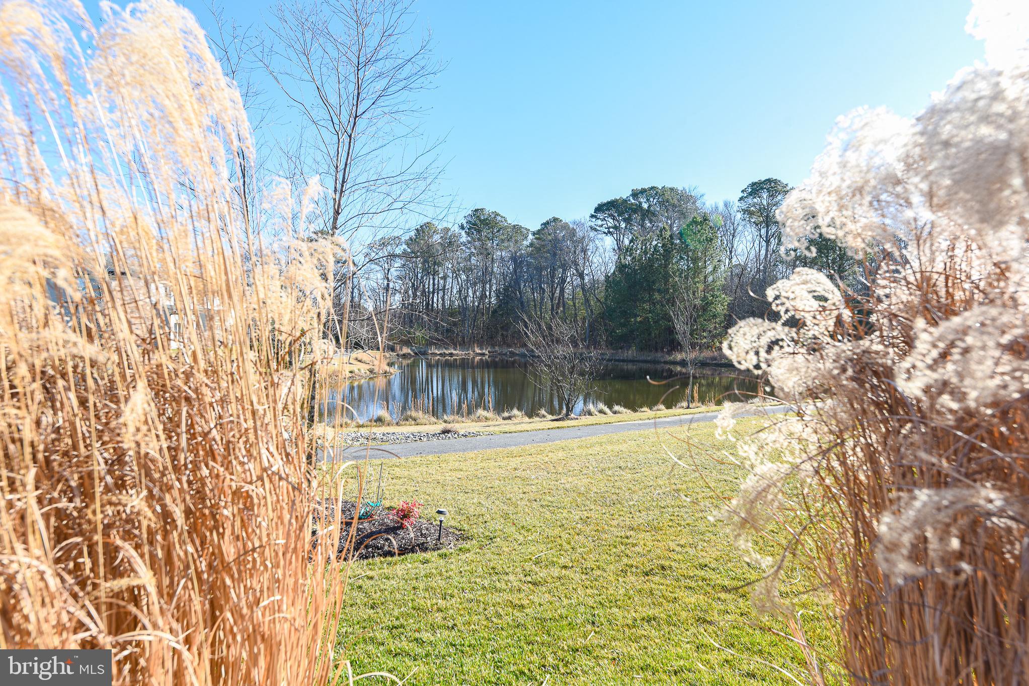 32659 Widgeon Road, Unit 367 Ocean View, DE 19970 - Photo 40 of 54 View from rear of home