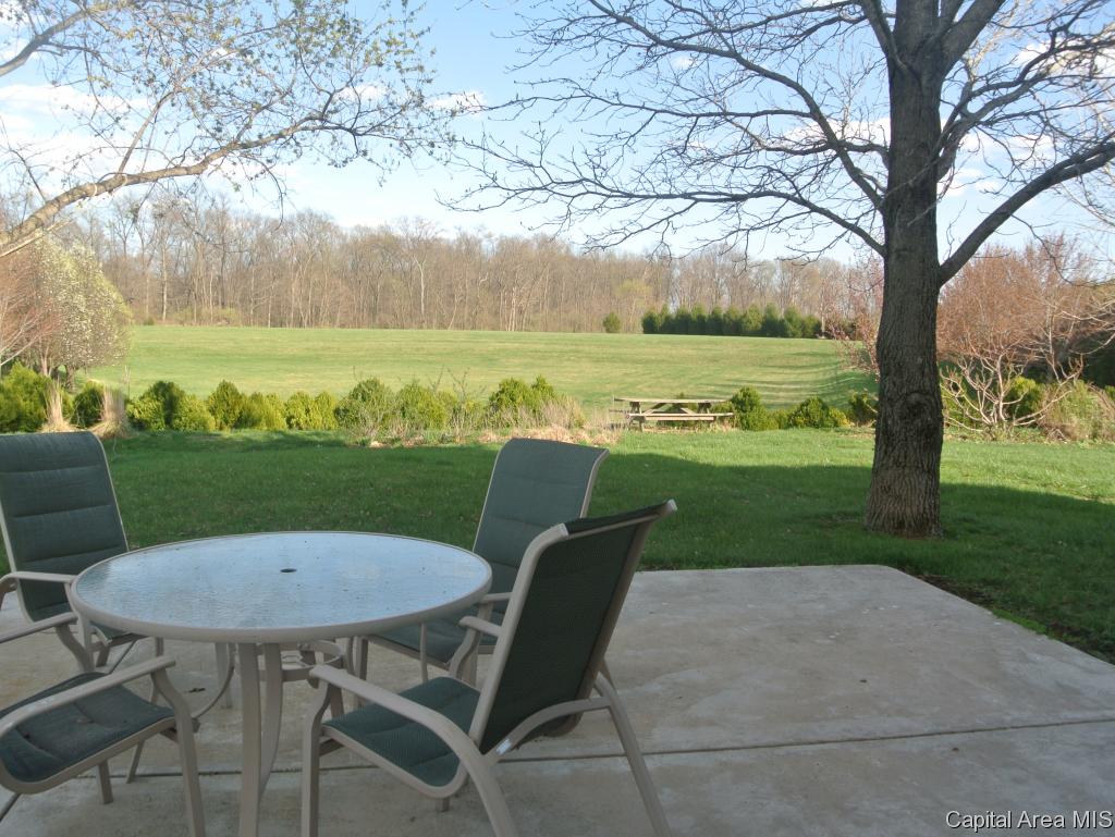 1826 Sellars Road Murrayville, IL 62668 - Photo 11 of 30