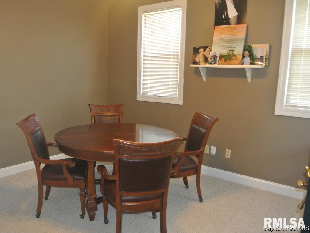 1826 Sellars Road Murrayville, IL 62668 - Photo 19 of 30