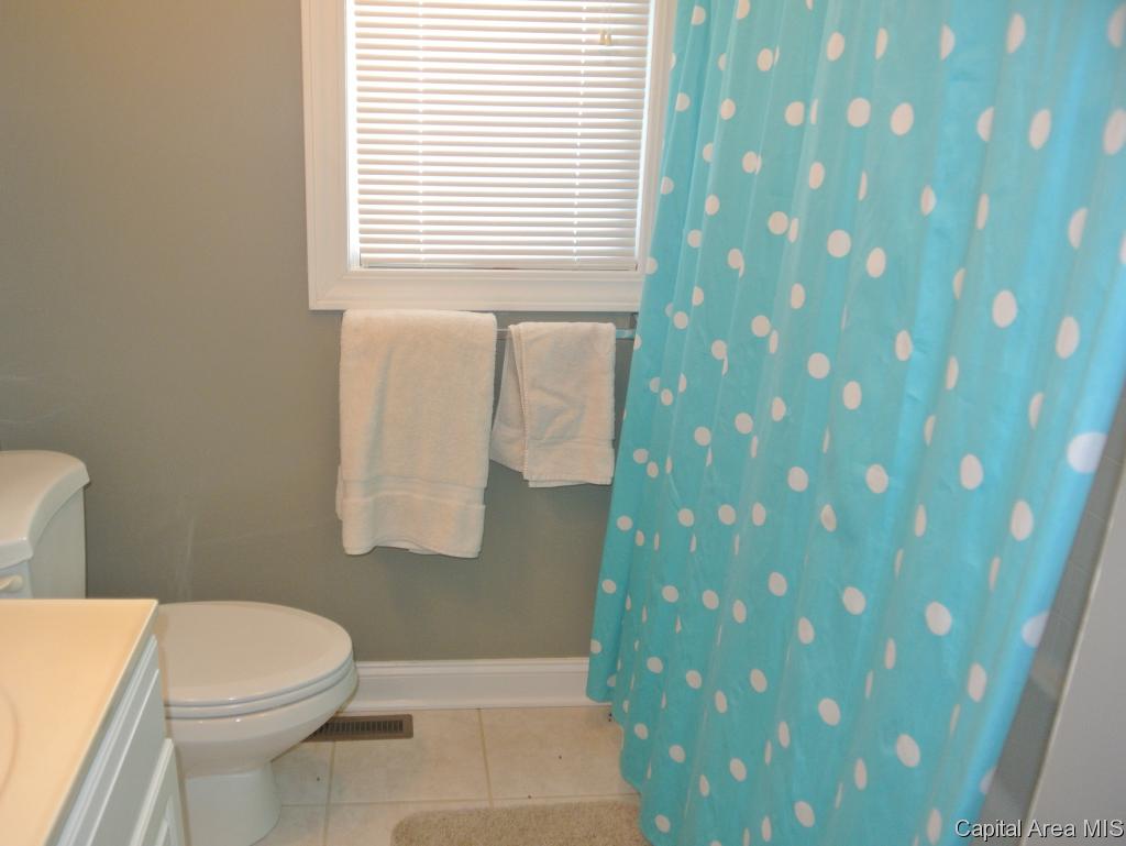 1826 Sellars Road Murrayville, IL 62668 - Photo 26 of 30