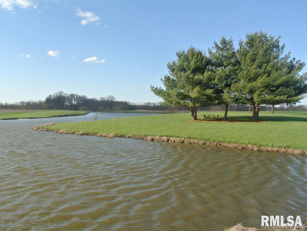 1826 Sellars Road Murrayville, IL 62668 - Photo 5 of 30
