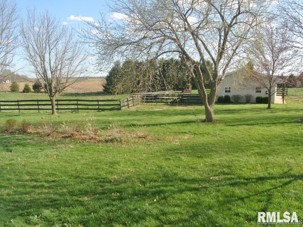 1826 Sellars Road Murrayville, IL 62668 - Photo 6 of 30
