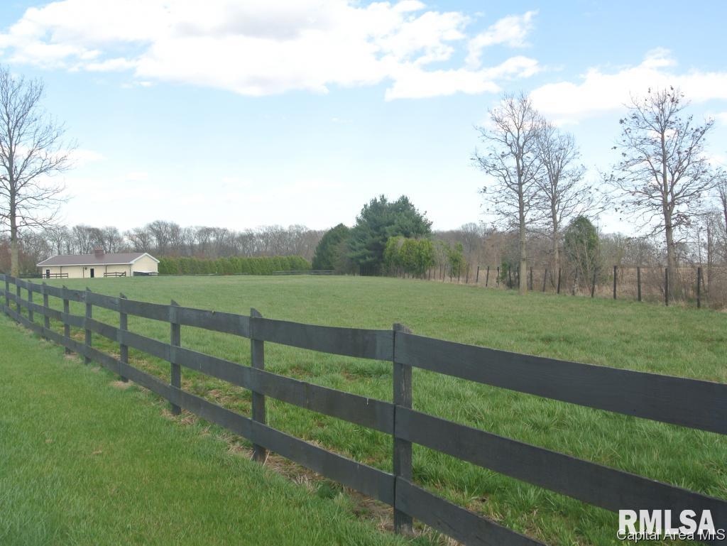1826 Sellars Road Murrayville, IL 62668 - Photo 8 of 30