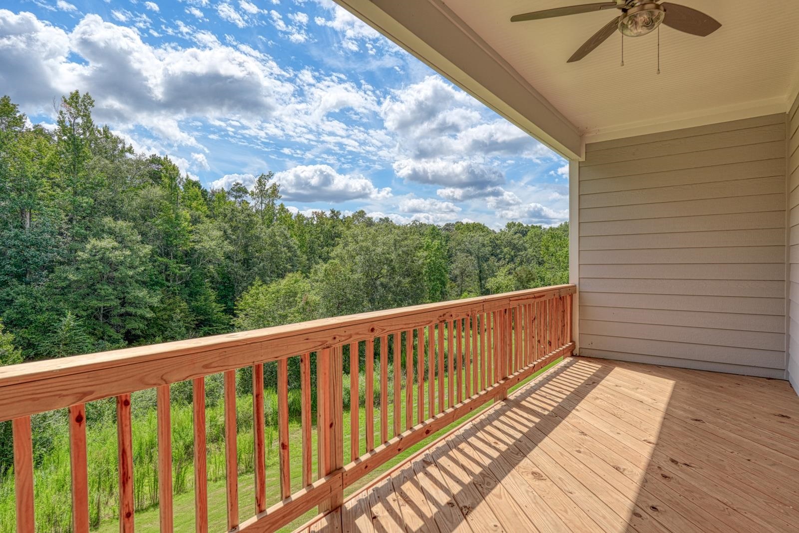 727 Enoree River Place Greer, SC 29651 - Photo 24 of 50