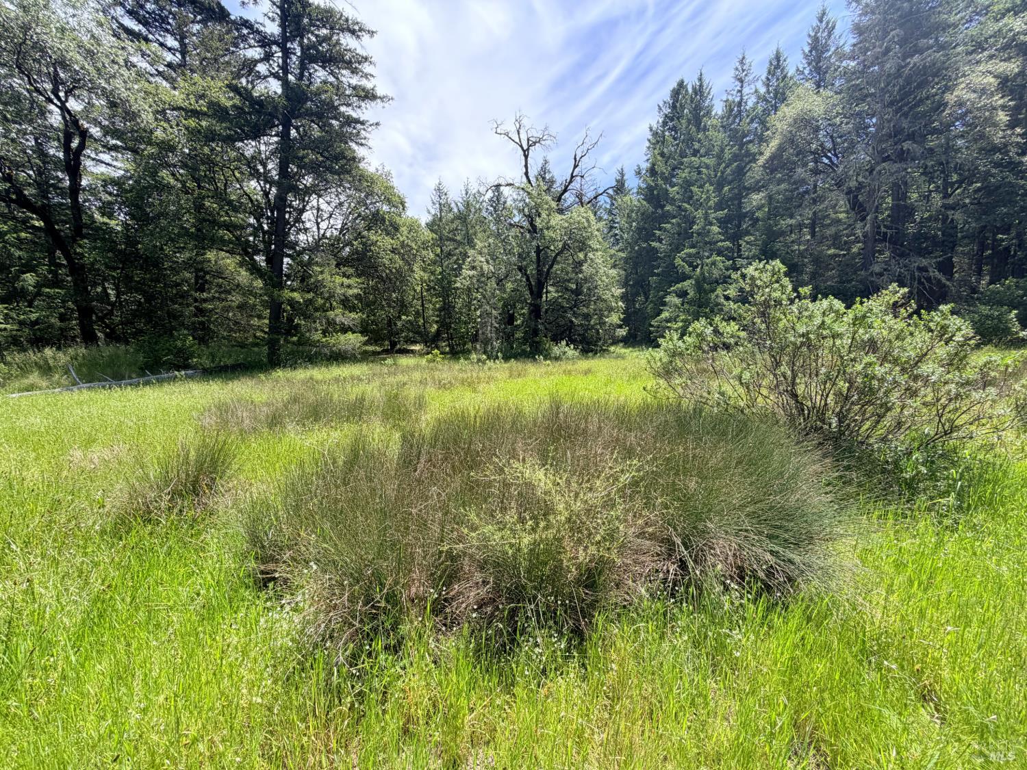 0 Registered Guest Road Laytonville, CA 95454 - Photo 18 of 18