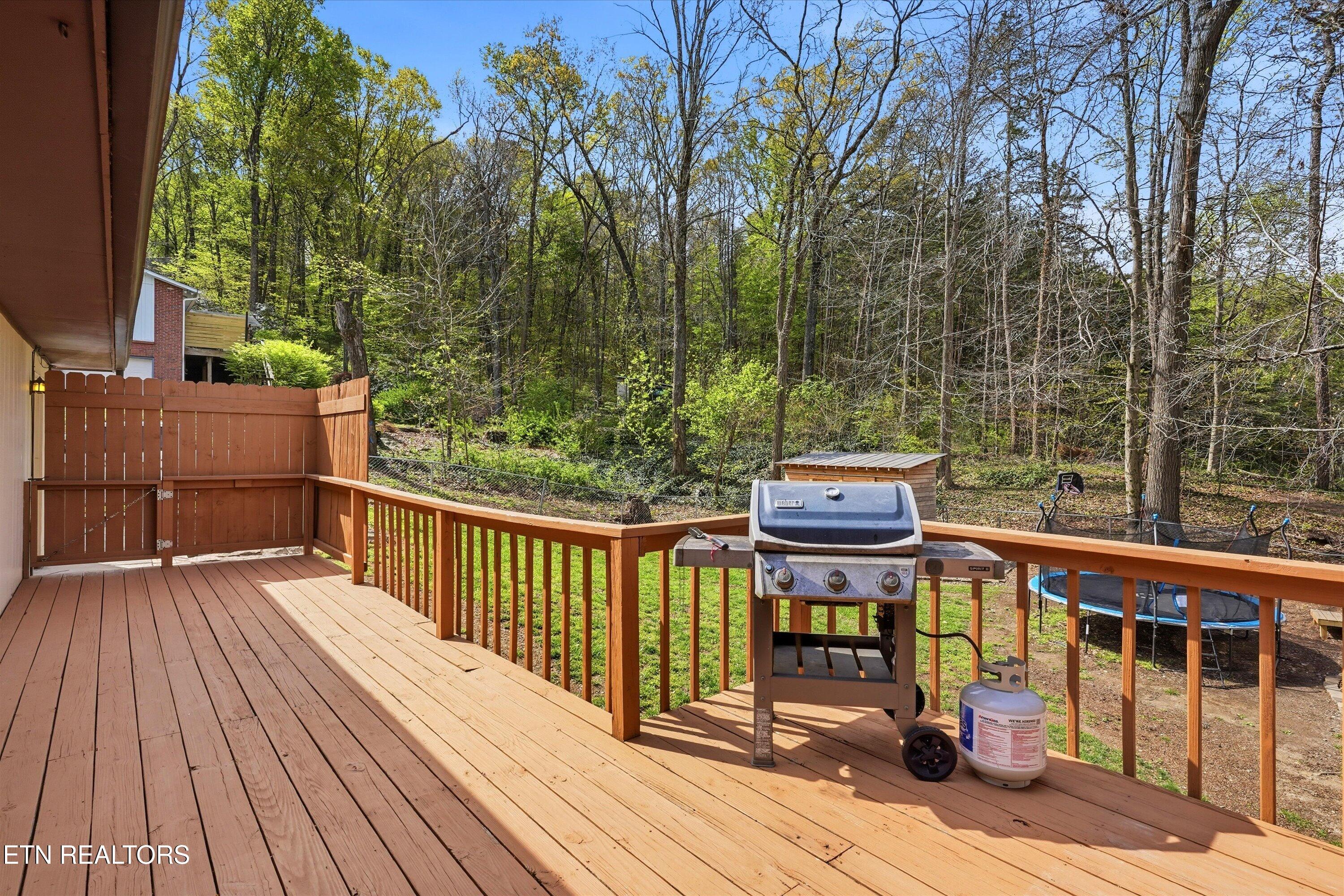 6428 Spring View Lane Knoxville, TN 37918 - Photo 17 of 43 Back Deck