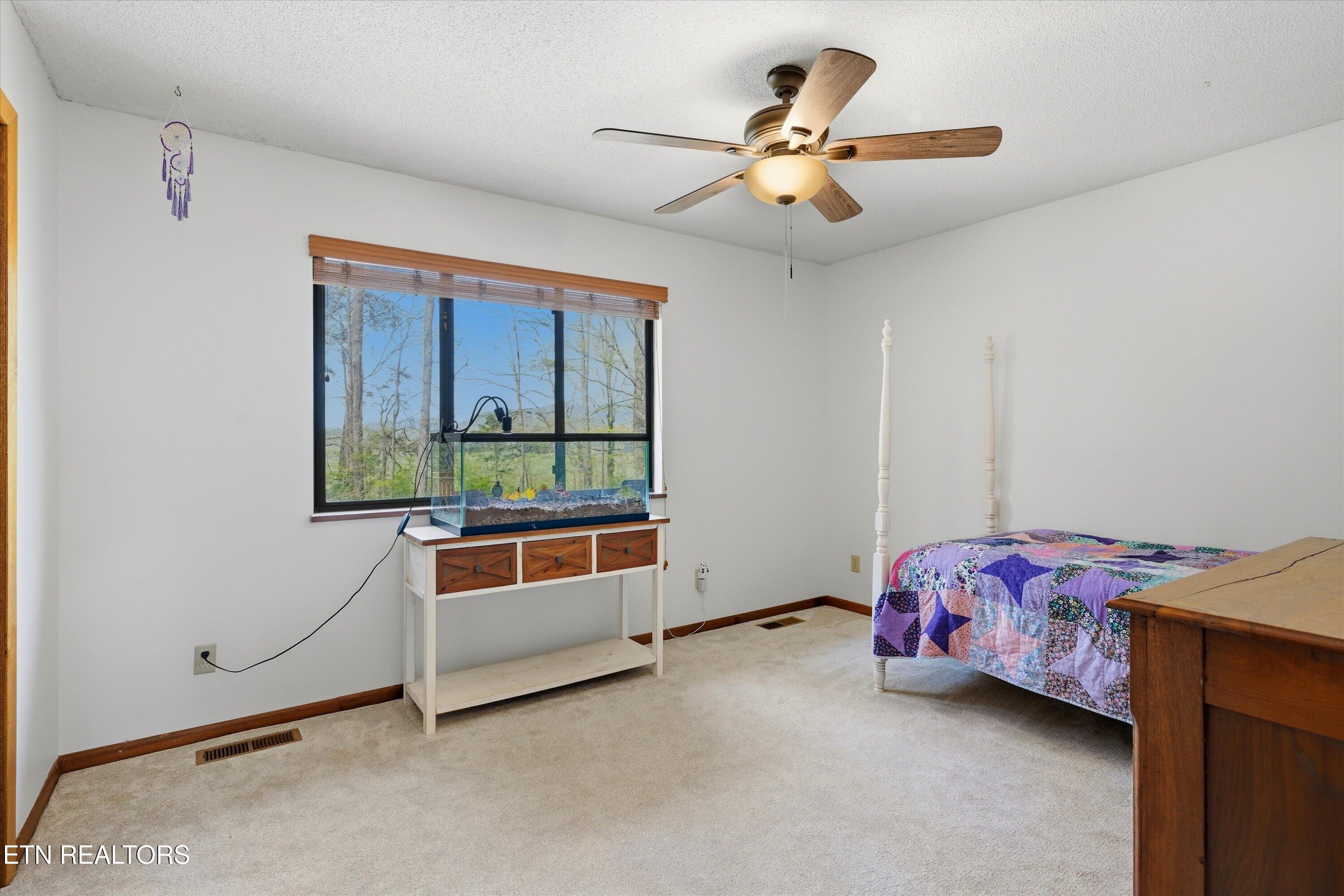 6428 Spring View Lane Knoxville, TN 37918 - Photo 22 of 43 Bedroom 2