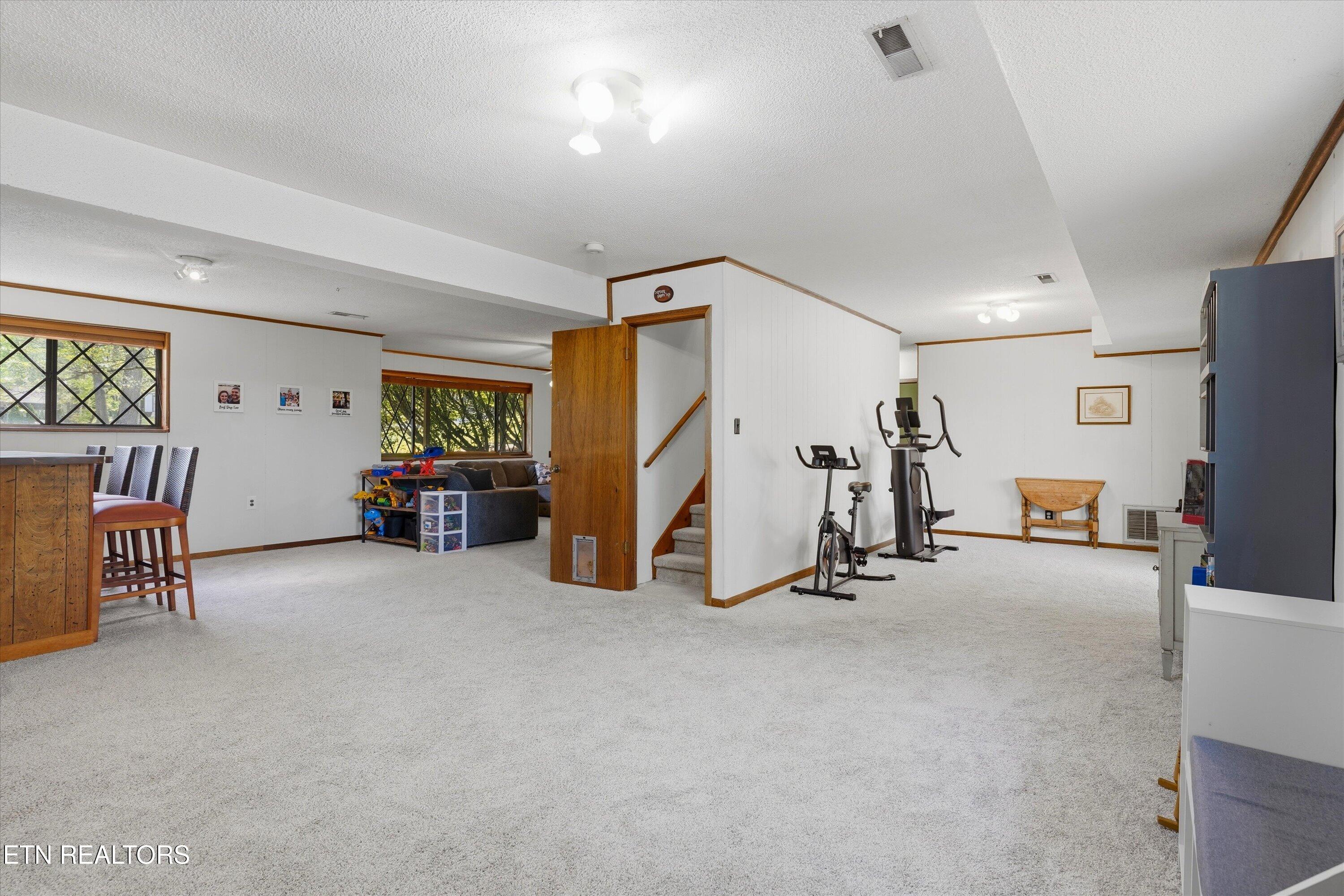 6428 Spring View Lane Knoxville, TN 37918 - Photo 25 of 43 Basement Rec Room