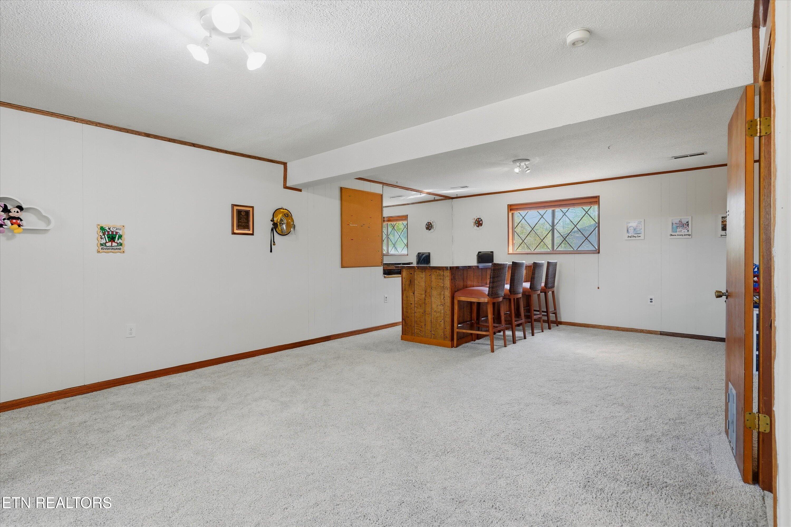 6428 Spring View Lane Knoxville, TN 37918 - Photo 26 of 43 Basement Rec Room