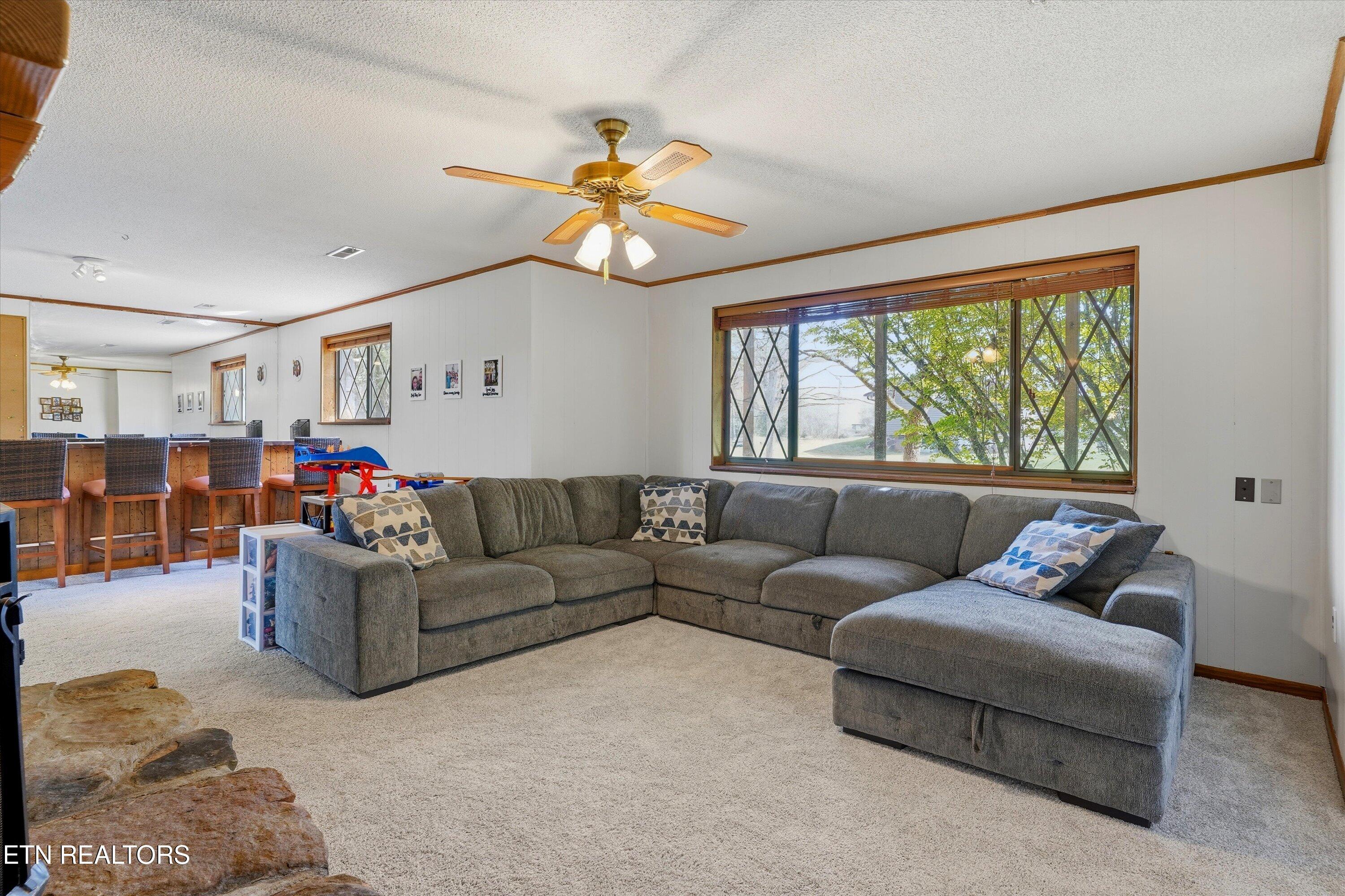 6428 Spring View Lane Knoxville, TN 37918 - Photo 31 of 43 Basement Living Room
