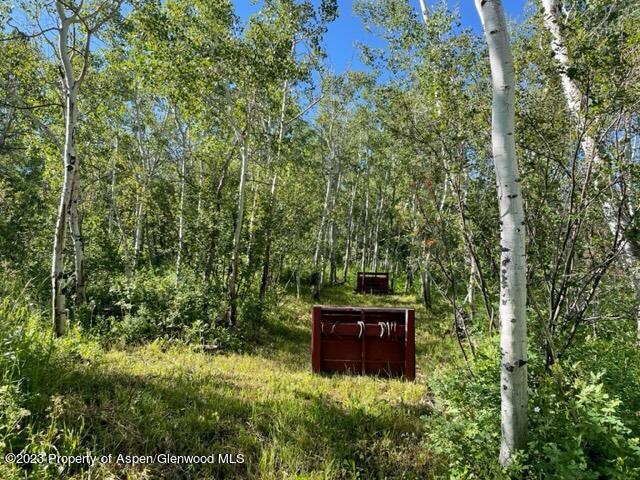 221 Sycamore Road Craig, CO 81625 - Photo 22 of 34 IMG_5231