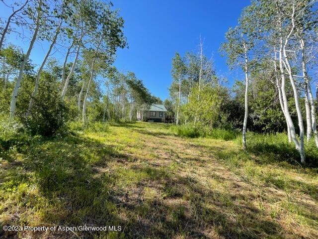 221 Sycamore Road Craig, CO 81625 - Photo 23 of 34 IMG_5246