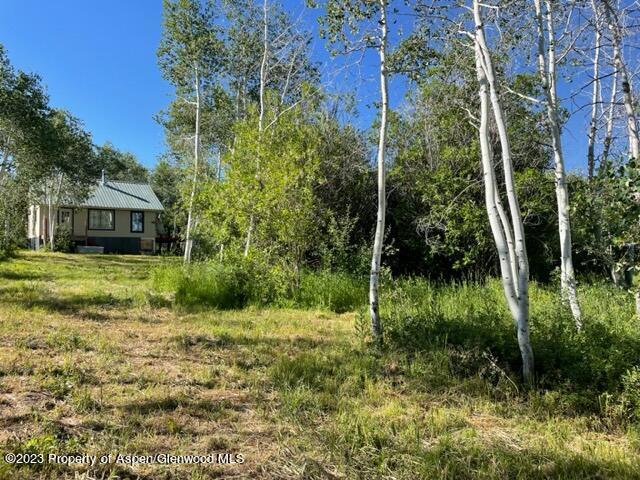 221 Sycamore Road Craig, CO 81625 - Photo 24 of 34 IMG_5239