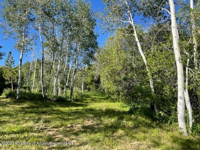221 Sycamore Road Craig, CO 81625 - Photo 25 of 34 IMG_5212