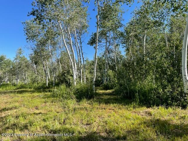 221 Sycamore Road Craig, CO 81625 - Photo 26 of 34 IMG_5210