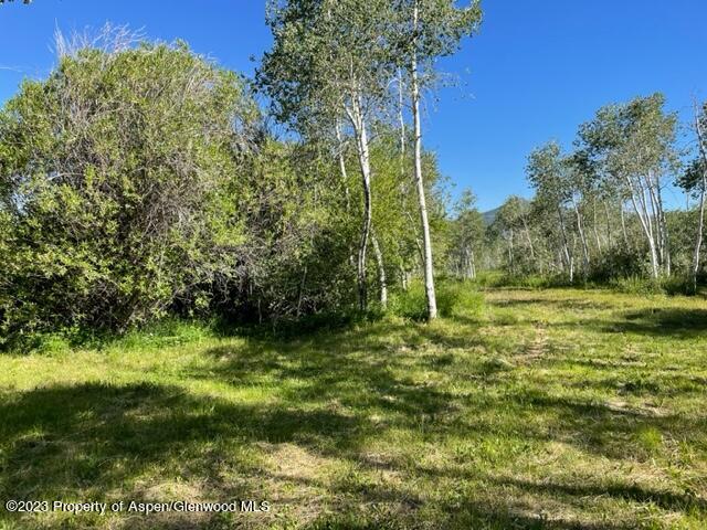 221 Sycamore Road Craig, CO 81625 - Photo 27 of 34 IMG_5217