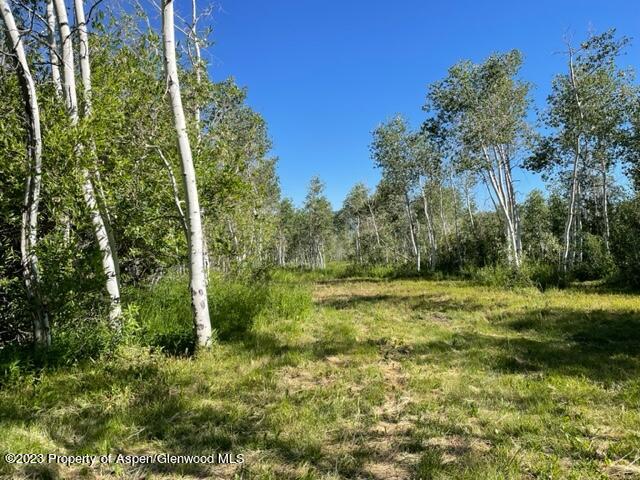 221 Sycamore Road Craig, CO 81625 - Photo 28 of 34 IMG_5215
