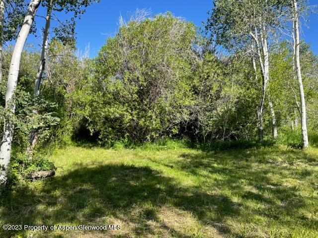 221 Sycamore Road Craig, CO 81625 - Photo 29 of 34 IMG_5233