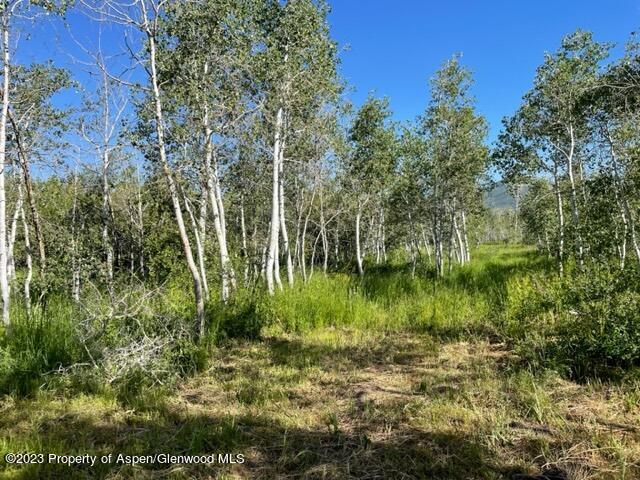 221 Sycamore Road Craig, CO 81625 - Photo 30 of 34 IMG_5237