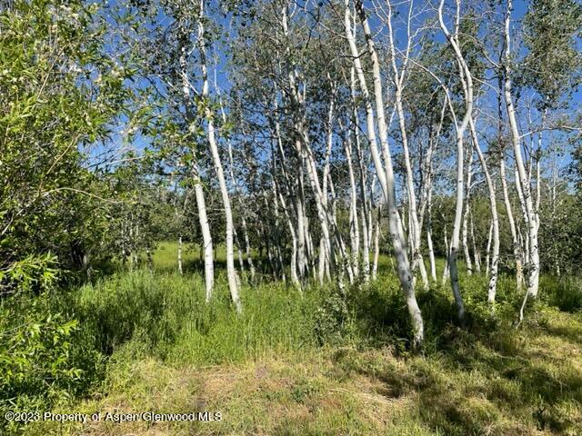 221 Sycamore Road Craig, CO 81625 - Photo 31 of 34 IMG_5235