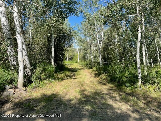221 Sycamore Road Craig, CO 81625 - Photo 34 of 34 IMG_5248
