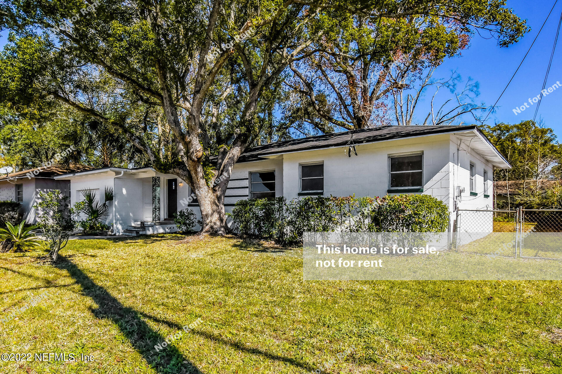 4403 Jammes Road Jacksonville, FL 32210 - Photo 8 of 27 listing_7