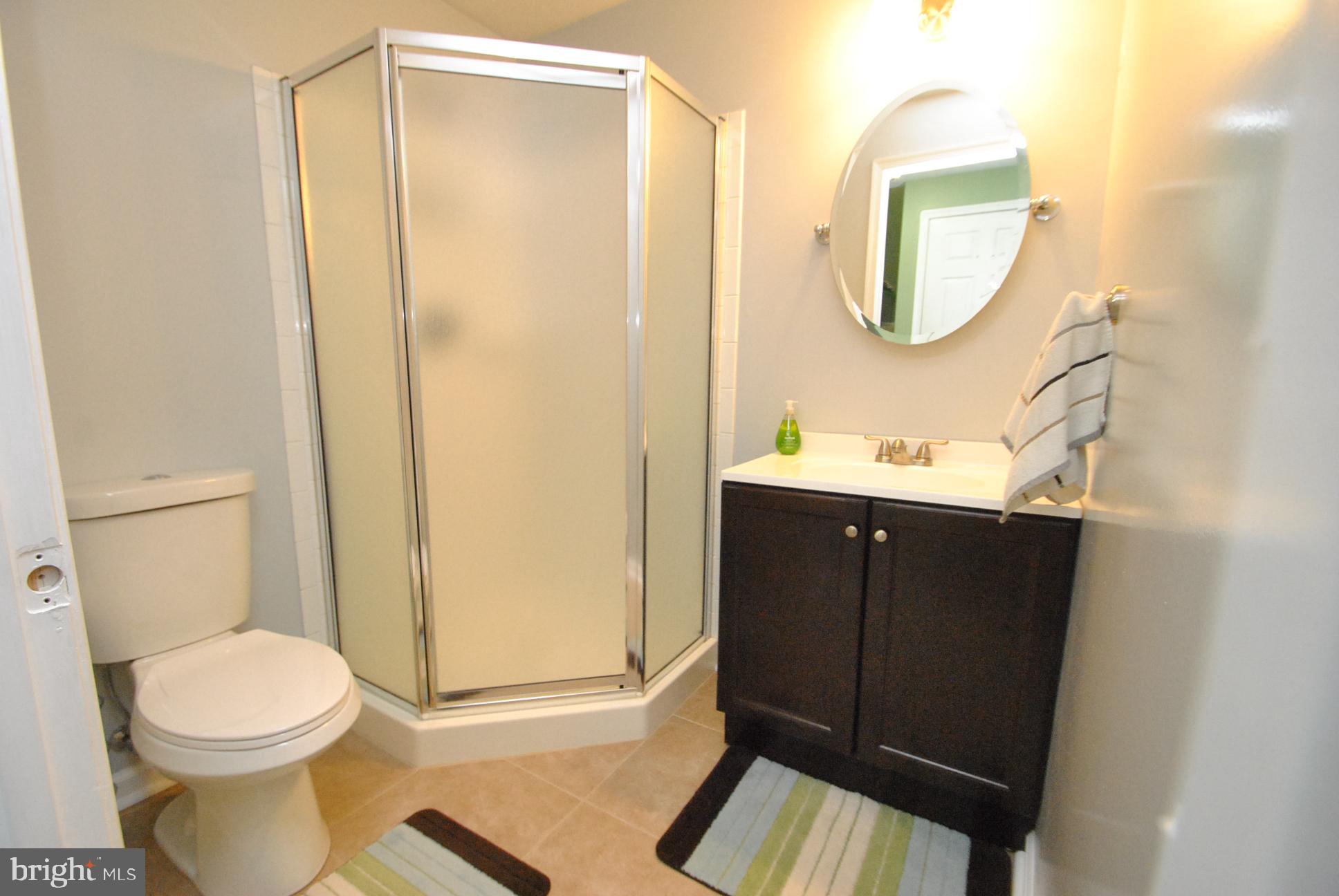 52 Powder View Court Baltimore, MD 21236 - Photo 16 of 19 CUSTOM FULL BATH IN LOWER LEVEL