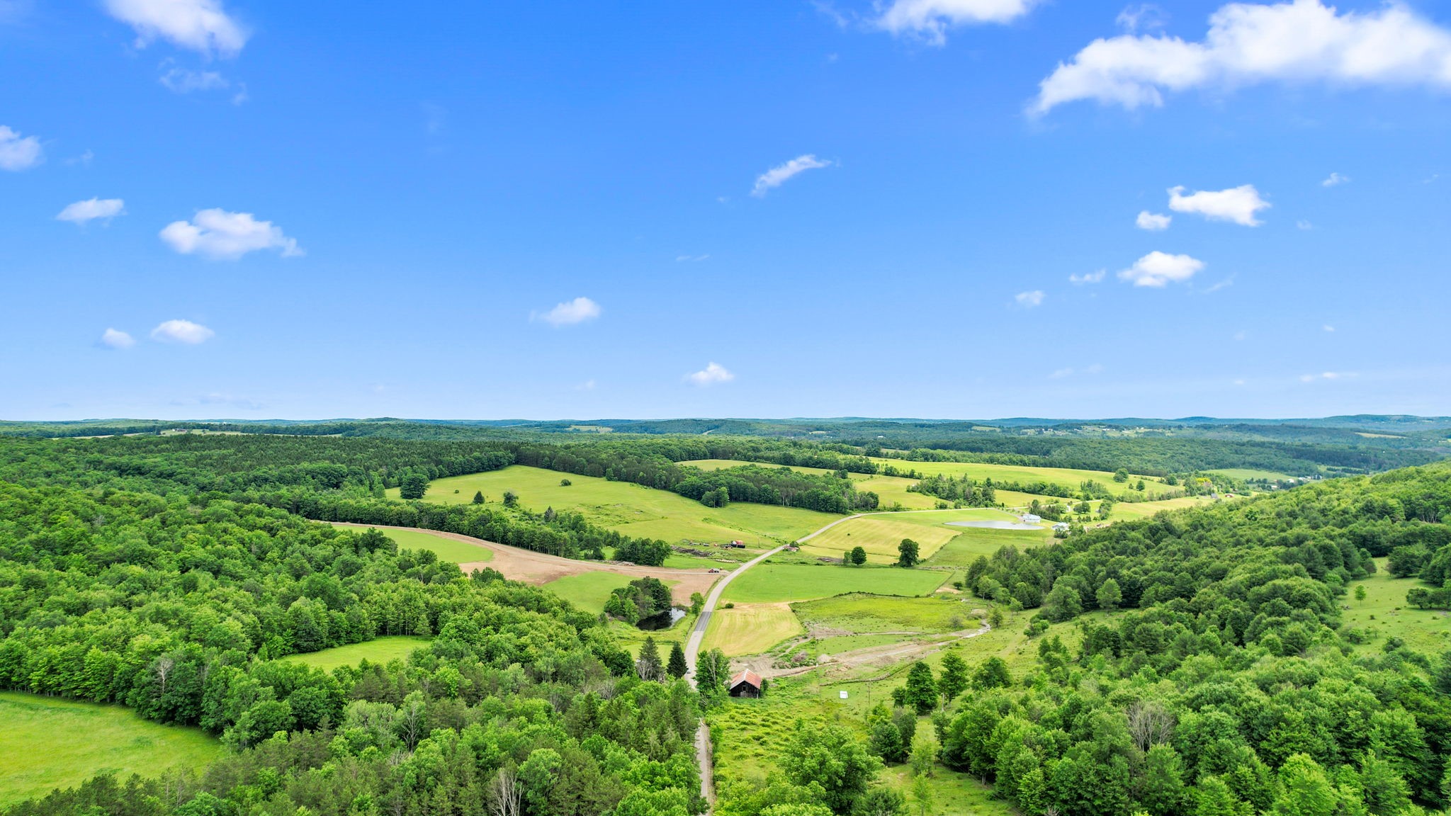 731 Smokey Zimmer Road Newark Valley, NY 13811 - Photo 6 of 35