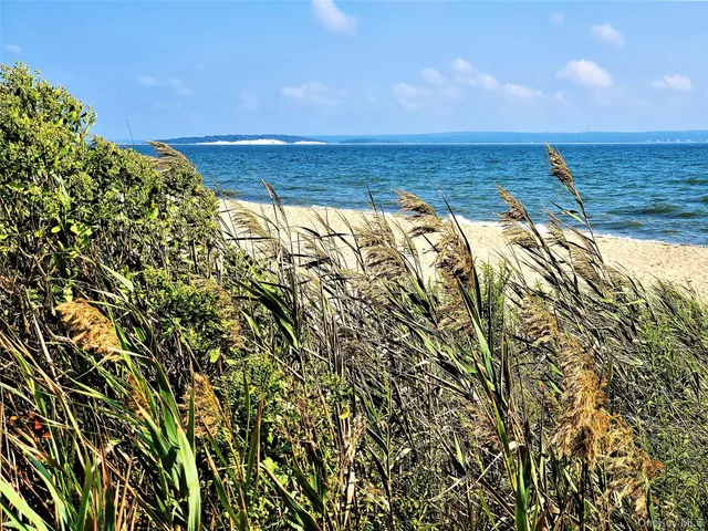 $50,000 | 1000 Rambler Road, Southold, NY 11971