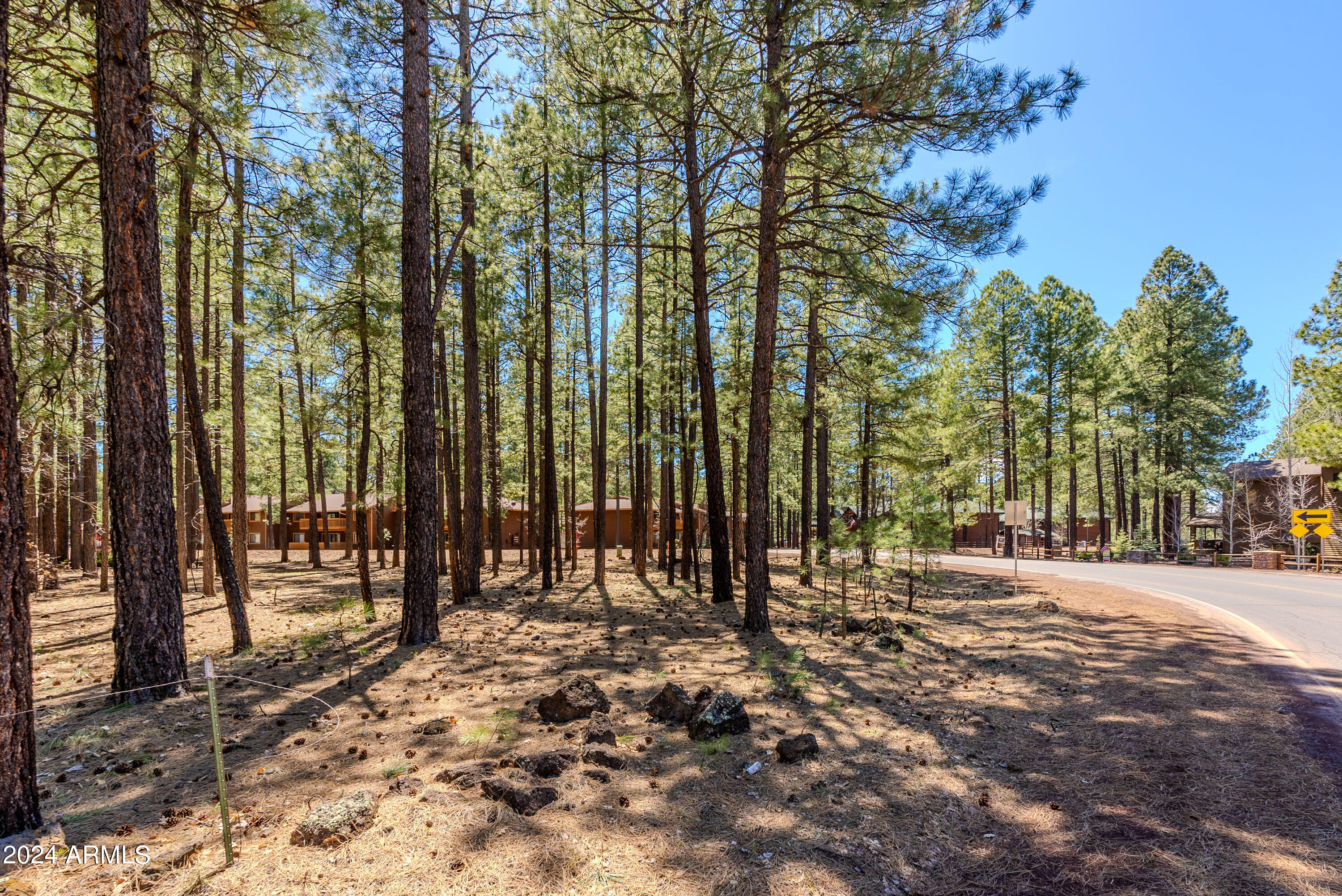 4571 Sky Hi Road Pinetop, AZ 85935 - Photo 15 of 23 4571 Sky Hi-15