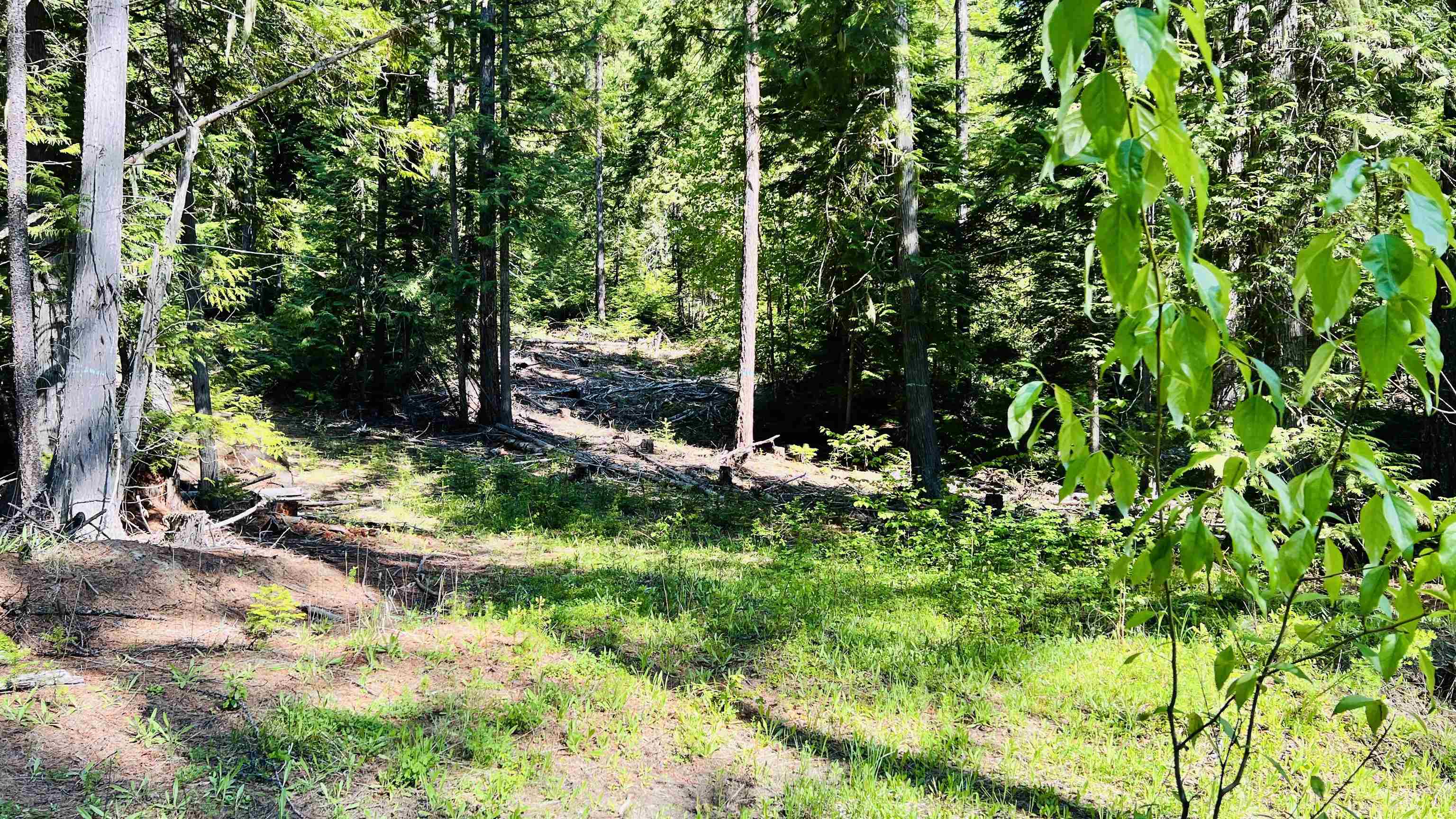 Nka Nka Phalon Lake Road Evans, WA 99126 - Photo 11 of 50